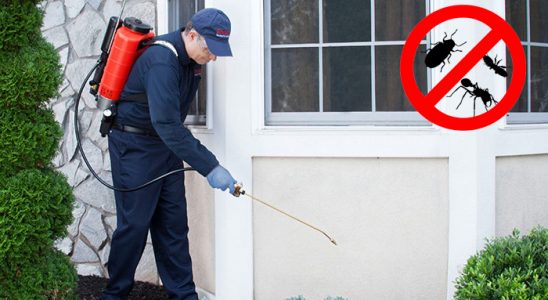 Kozaklı Kemirgen İlaçlama böcek ilaçlama ve haşere kontrolü — ilaclama-tr.com
